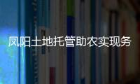 鳳陽土地托管助農(nóng)實(shí)現(xiàn)務(wù)工種地兩不誤_