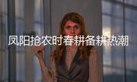 鳳陽搶農時春耕備耕熱潮涌_