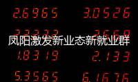 鳳陽激發(fā)新業(yè)態(tài)新就業(yè)群體黨建活力_