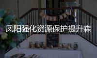 鳳陽強化資源保護提升森林顏值_