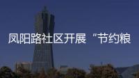 鳳陽路社區(qū)開展“節(jié)約糧食”主題活動_