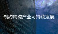 制約純堿產(chǎn)業(yè)可持續(xù)發(fā)展的重要因素,市場研究