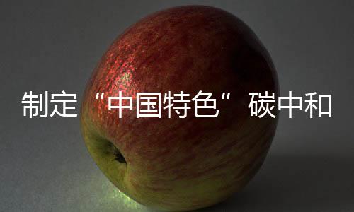 制定“中國特色”碳中和實施路徑—新聞—科學網