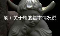 刷（關于刷的基本情況說明介紹）