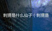 刺猬是什么仙子（刺猬是什么仙）