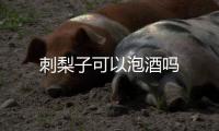 刺梨子可以泡酒嗎