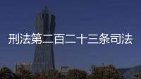 刑法第二百二十三條司法解釋（刑法第二百二十四條）