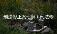 刑法修正案七條（刑法修正案七）