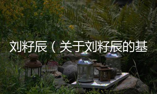 劉籽辰（關(guān)于劉籽辰的基本情況說(shuō)明介紹）