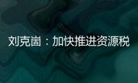 劉克崮：加快推進資源稅整體改革