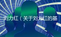 劉力紅（關于劉力紅的基本情況說明介紹）