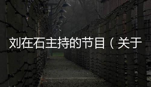 劉在石主持的節(jié)目（關(guān)于劉在石主持的節(jié)目的基本情況說明介紹）