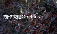 劉作虎曬OnePlus9Pro綠洲配色真機照首創雙層AG製程