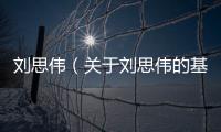 劉思偉（關于劉思偉的基本情況說明介紹）