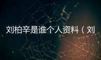 劉柏辛是誰個人資料（劉柏辛是富二代嗎）