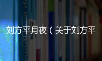 劉方平月夜（關(guān)于劉方平月夜的基本情況說明介紹）