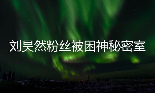 劉昊然粉絲被困神秘密室  張大大成幕后黑手