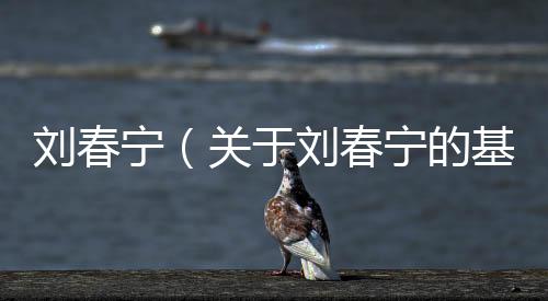 劉春寧（關于劉春寧的基本情況說明介紹）