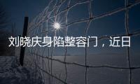 劉曉慶身陷整容門，近日素顏受訪談保養