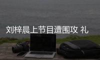 劉梓晨上節(jié)目遭圍攻 禮貌周全洗白仍艱難