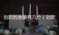 劉歡的老婆有幾個（劉歡的老婆是誰）