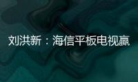 劉洪新：海信平板電視贏利不比CRT差