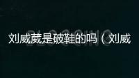 劉威葳是破鞋的嗎（劉威葳是破鞋）