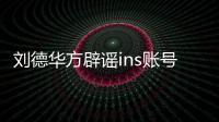 劉德華方辟謠ins賬號 否認個人運營