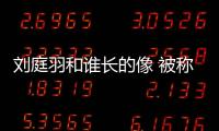 劉庭羽和誰長的像 被稱作壞人專業戶的她發展如何