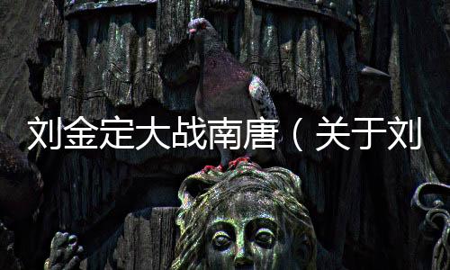 劉金定大戰南唐（關于劉金定大戰南唐的基本情況說明介紹）