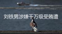 劉鐵男涉嫌千萬級受賄遭公訴