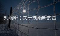 劉雨昕（關于劉雨昕的基本情況說明介紹）