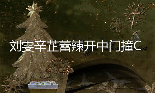 劉雯辛芷蕾辣開中門撞CHANEL 超模腰間藏心機