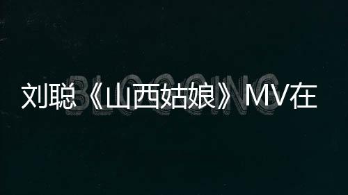 劉聰《山西姑娘》MV在壺口瀑布開機