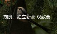 劉良：獨立新高 觀致要做變革性的企業