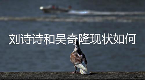 劉詩詩和吳奇隆現(xiàn)狀如何 兩個人將日子過成了童話