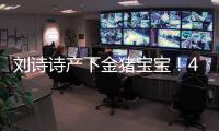 劉詩詩產下金豬寶寶！48歲的吳奇隆終于當爸爸了