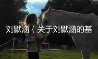 劉默涵（關于劉默涵的基本情況說明介紹）