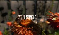 刀出鞘11