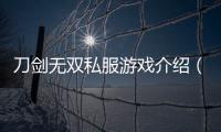刀劍無雙私服游戲介紹（刀劍無雙私服）