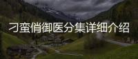 刁蠻俏御醫(yī)分集詳細(xì)介紹1