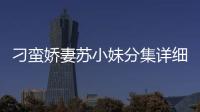 刁蠻嬌妻蘇小妹分集詳細介紹21