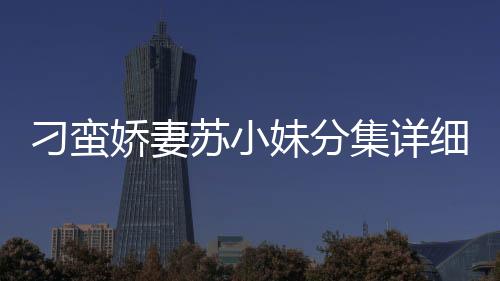 刁蠻嬌妻蘇小妹分集詳細介紹21