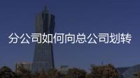 分公司如何向總公司劃轉(zhuǎn)利潤（分公司如何納稅）