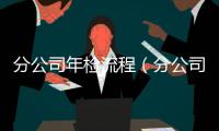 分公司年檢流程（分公司年檢）