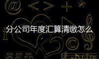 分公司年度匯算清繳怎么操作（分公司年檢）