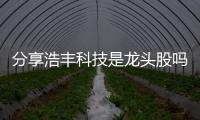 分享浩豐科技是龍頭股嗎，關于浩豐科技與中國軟件的詳情