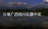 分享廣西梧州彩票中獎，關于河池彩票中獎情況表的詳情