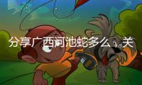 分享廣西河池蛇多么，關(guān)于河池養(yǎng)蛇基地的詳情