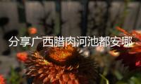 分享廣西臘肉河池都安哪里有賣，關(guān)于廣西臘肉河池都安的詳情